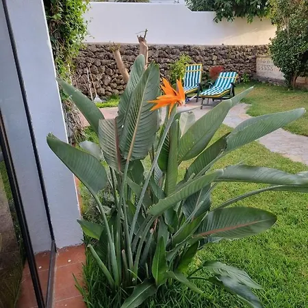 La Casa De Lucy & Karin Holiday home